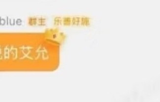 毛利蓝公布女儿姓名艾允|asen