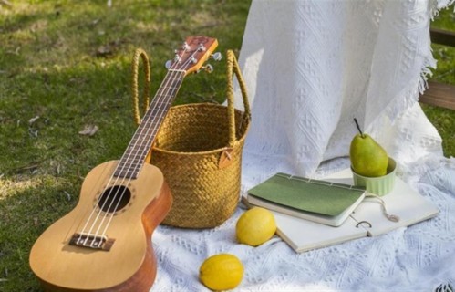 男女感情，这一辈子能遇到一个异性知己，可遇不可取啊，好好珍惜