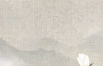 全身整容、拘留被抓、同去酒店，娱乐圈又曝3大瓜，好戏不断 