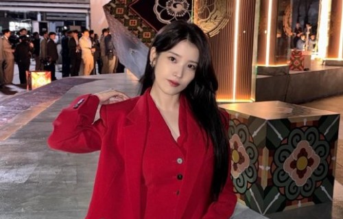 《21世纪大君夫人》是否已在Disney+平台上线，国内观众如何观看？|iu|韩国|财阀|合作|渠道