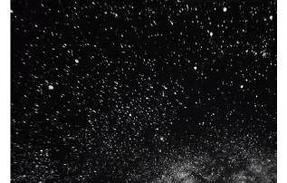 杨博文凌晨三点失眠，用星空灯隔空陪粉丝看星星引热议