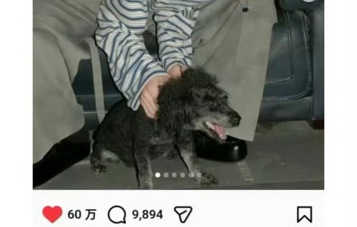 张凌赫ins动态3小时破60万赞,海外人气高涨