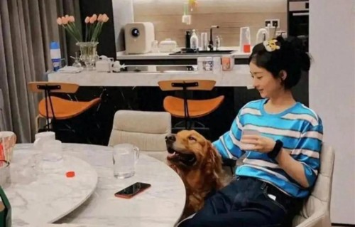 赵丽颖在上海某高档餐厅被偶遇，瘦是真的瘦，素颜还是那么美