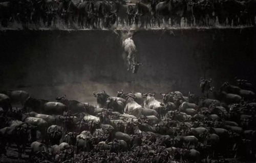 又一个千万网红，塌了 